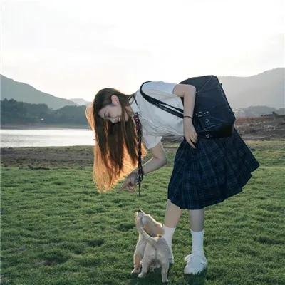 小马鞭